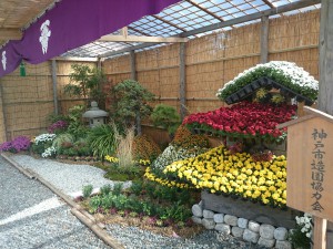 菊花展造園花壇１